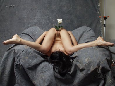 genital flora