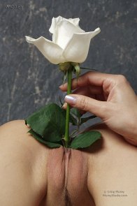 Lily's Floral Vagina Seeds